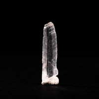 Nifontovite