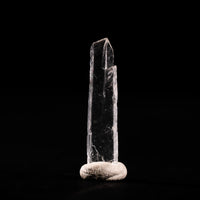Nifontovite