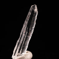 Nifontovite