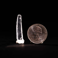 Nifontovite