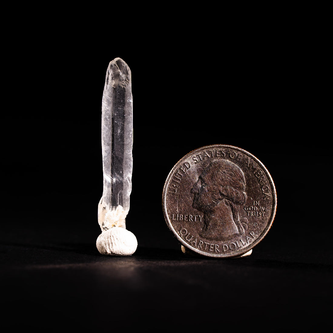 Nifontovite