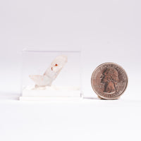 Papagoite and Ajoite in Quartz- Point