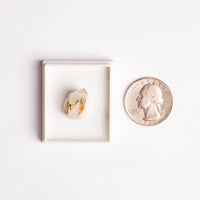 Papagoite and Ajoite in Quartz- Point