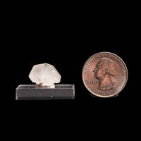 Phenakite (Phenacite)
