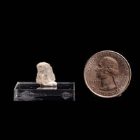 Phenakite (Phenacite)