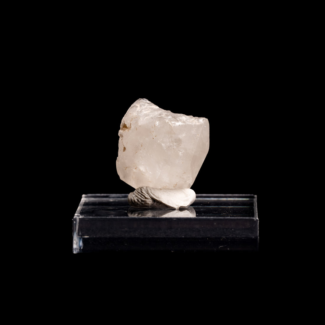 Phenakite (Phenacite)