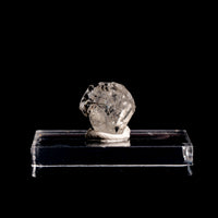 Phenakite (Phenacite)
