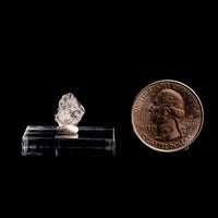 Phenakite (Phenacite)