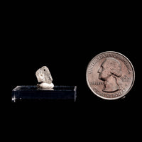 Phenakite (Phenacite)