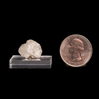 Phenakite (Phenacite)