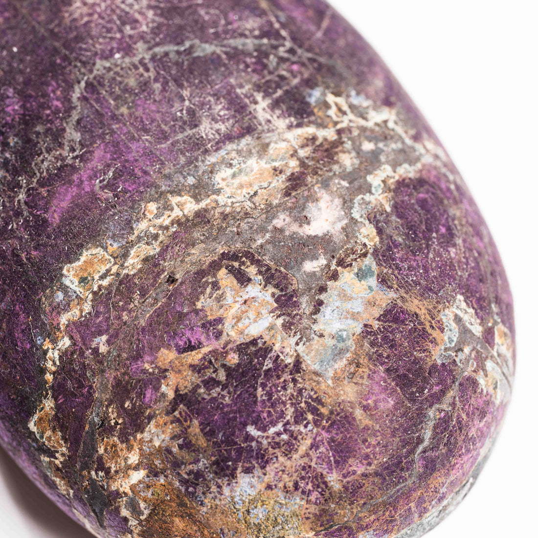 Purpurite - Palm