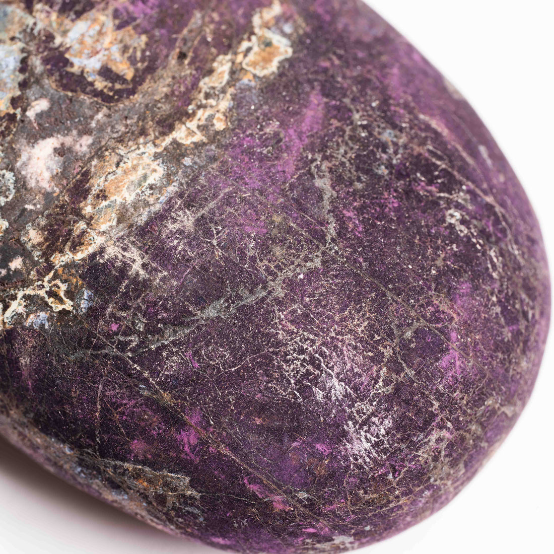 Purpurite - Palm