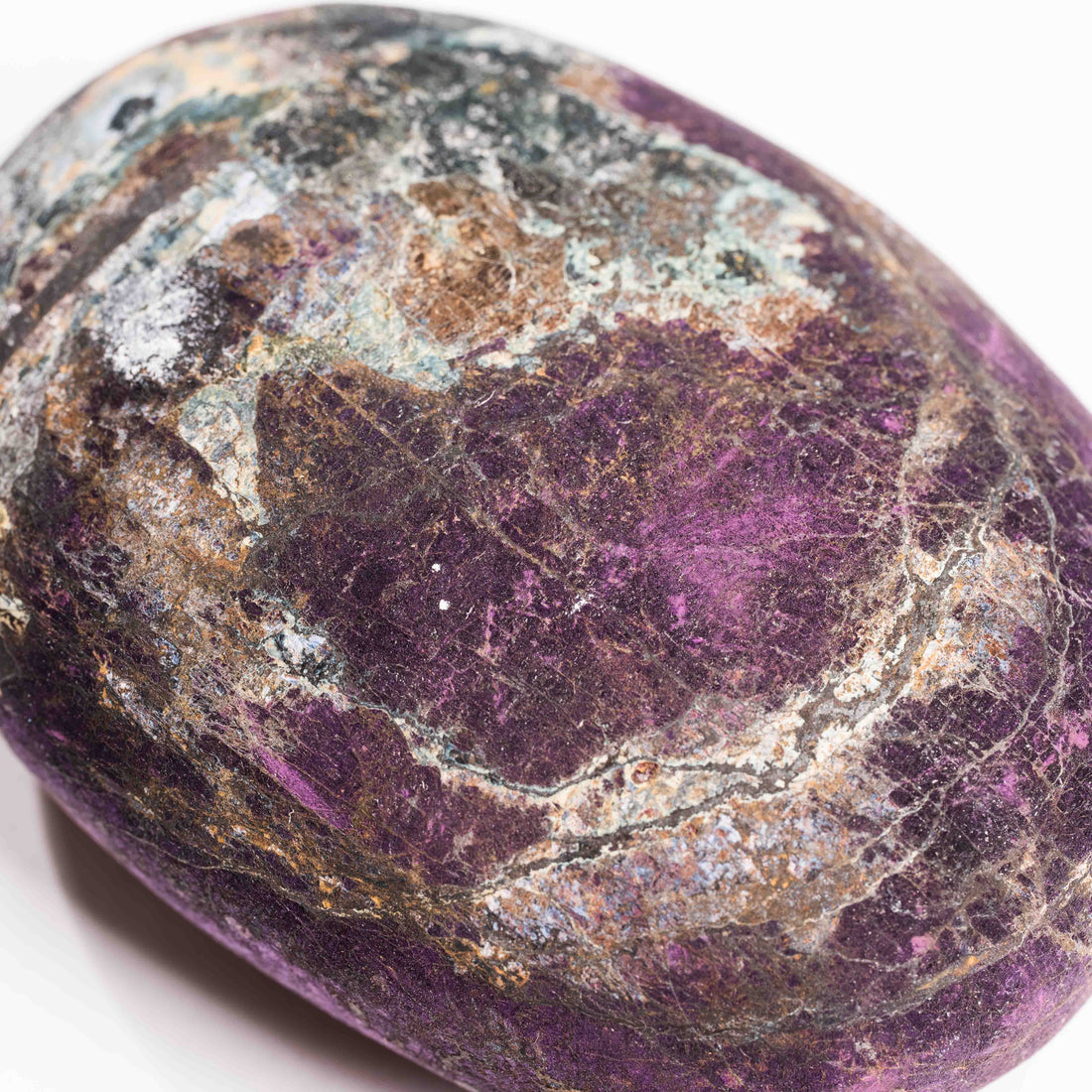 Purpurite - Palm