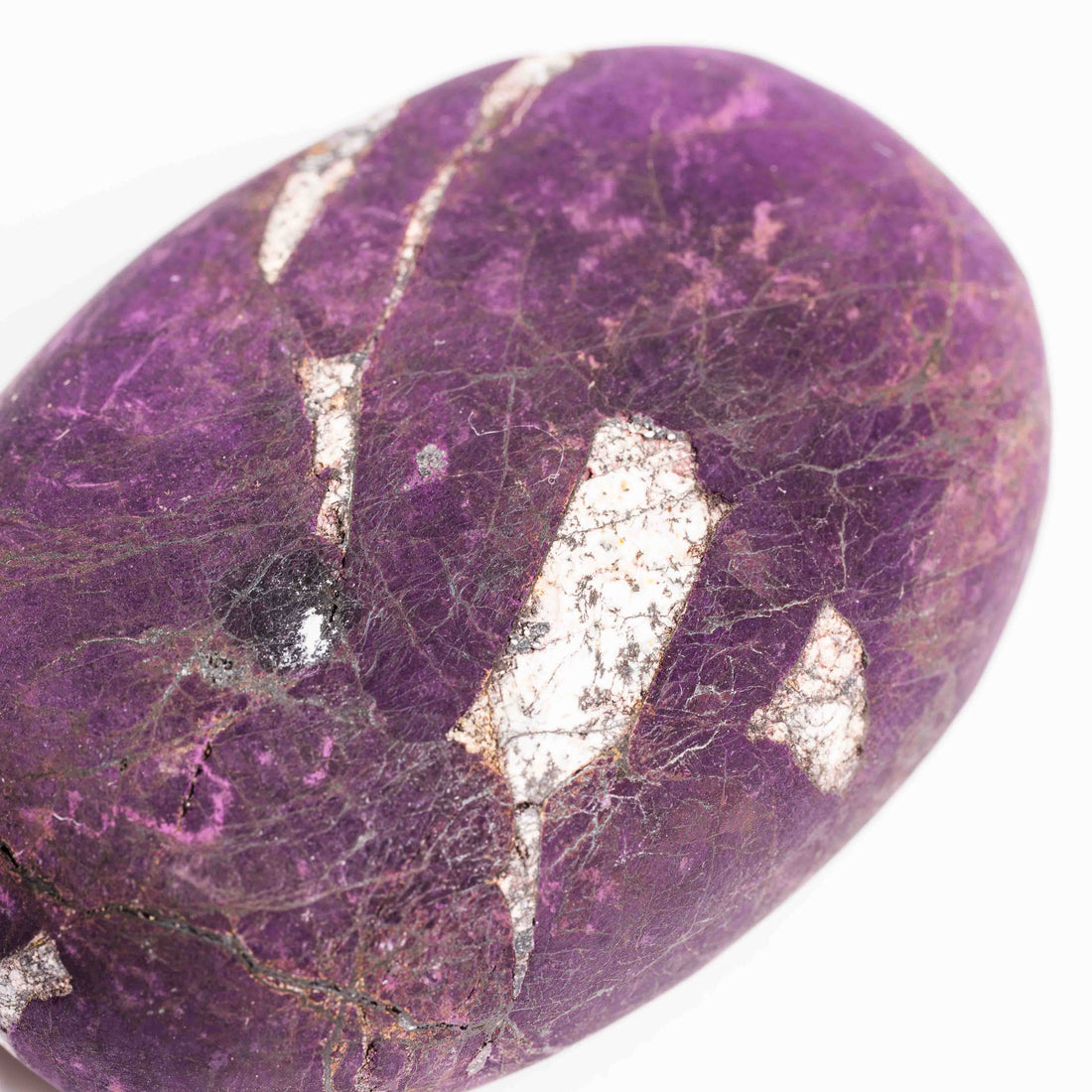 Purpurite - Palm