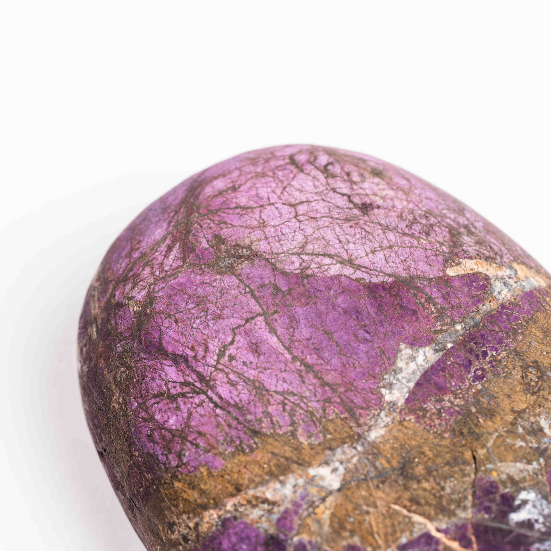 Purpurite - Palm