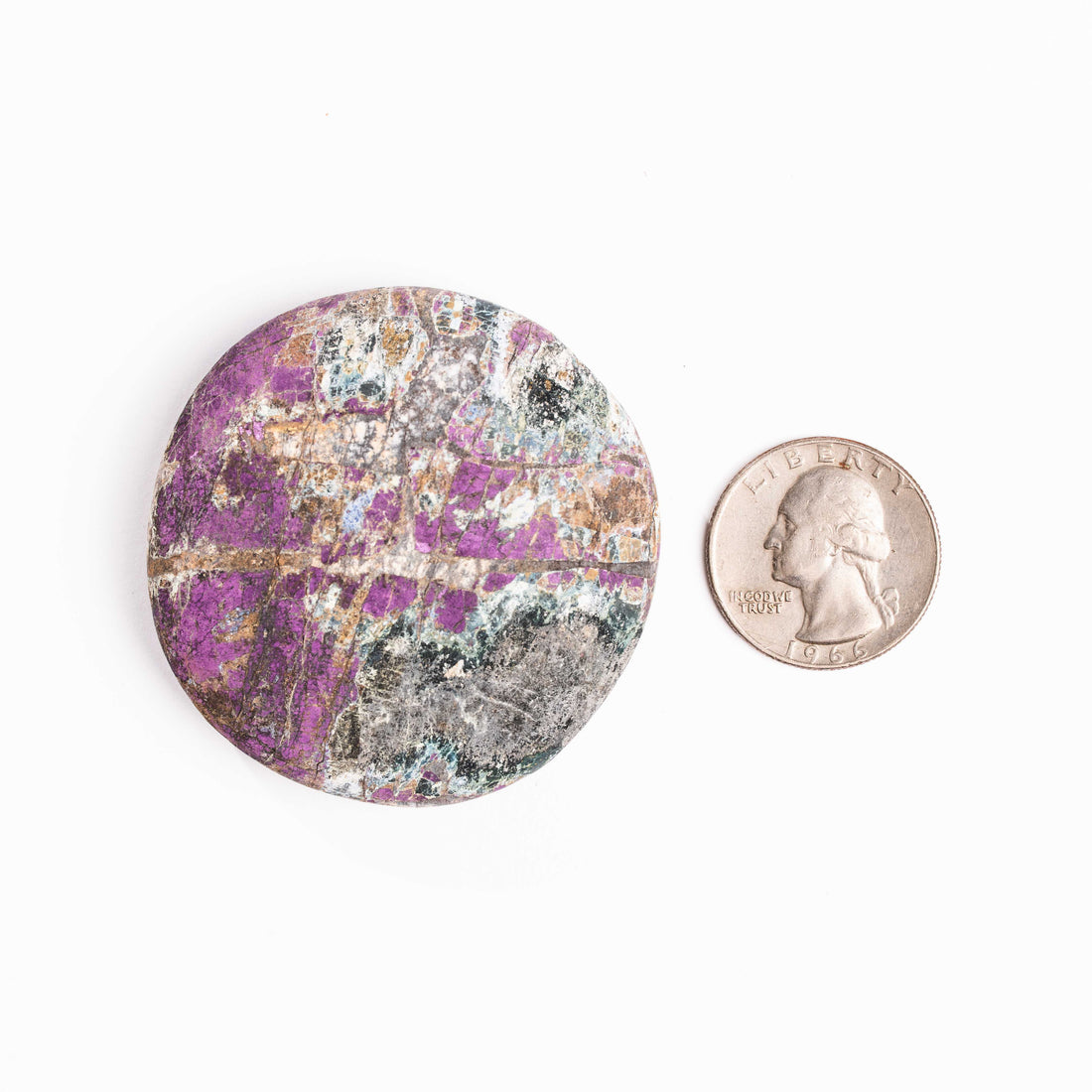 Purpurite - Palm