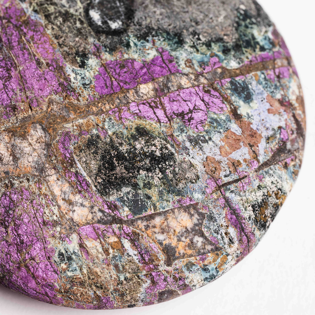 Purpurite - Palm