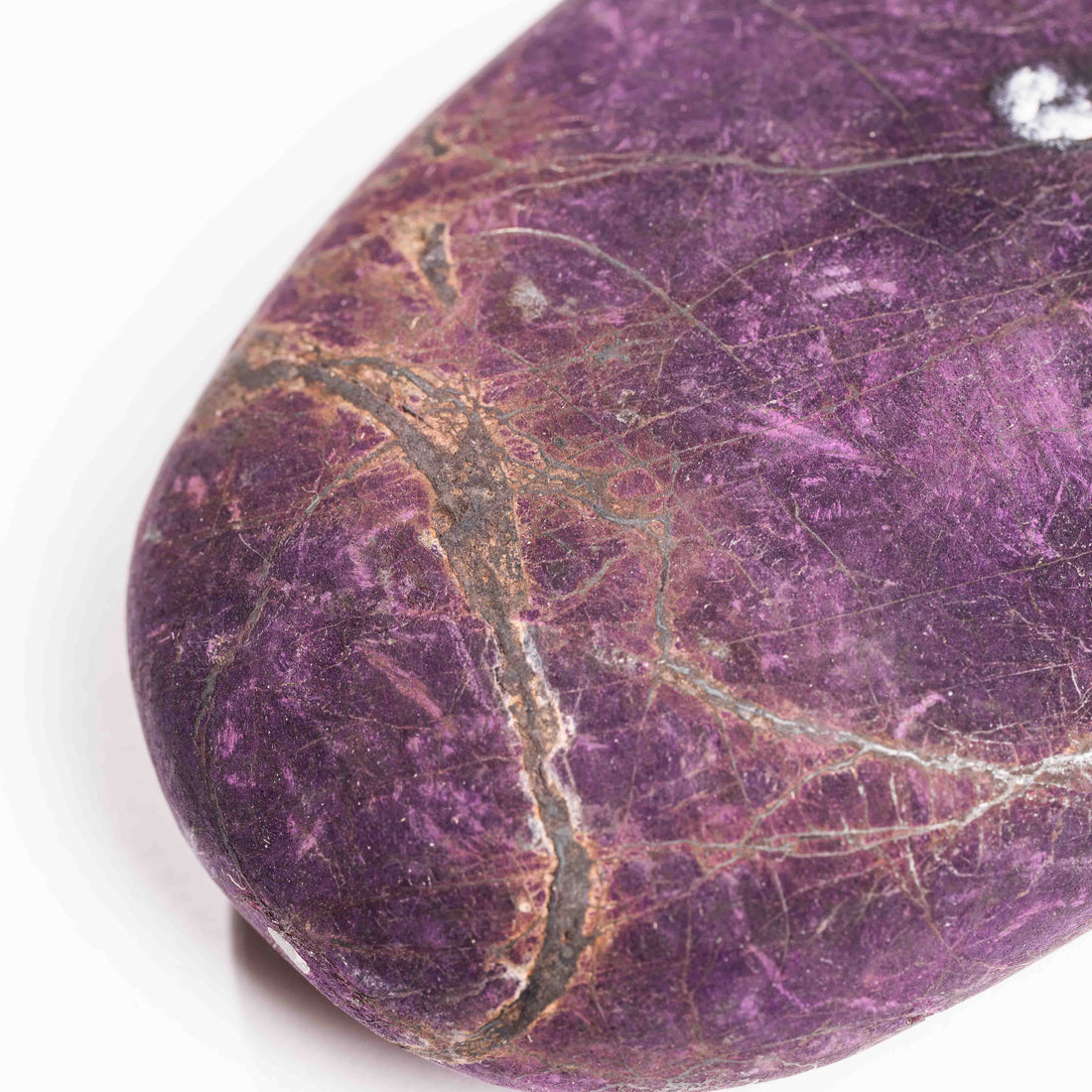 Purpurite - Palm