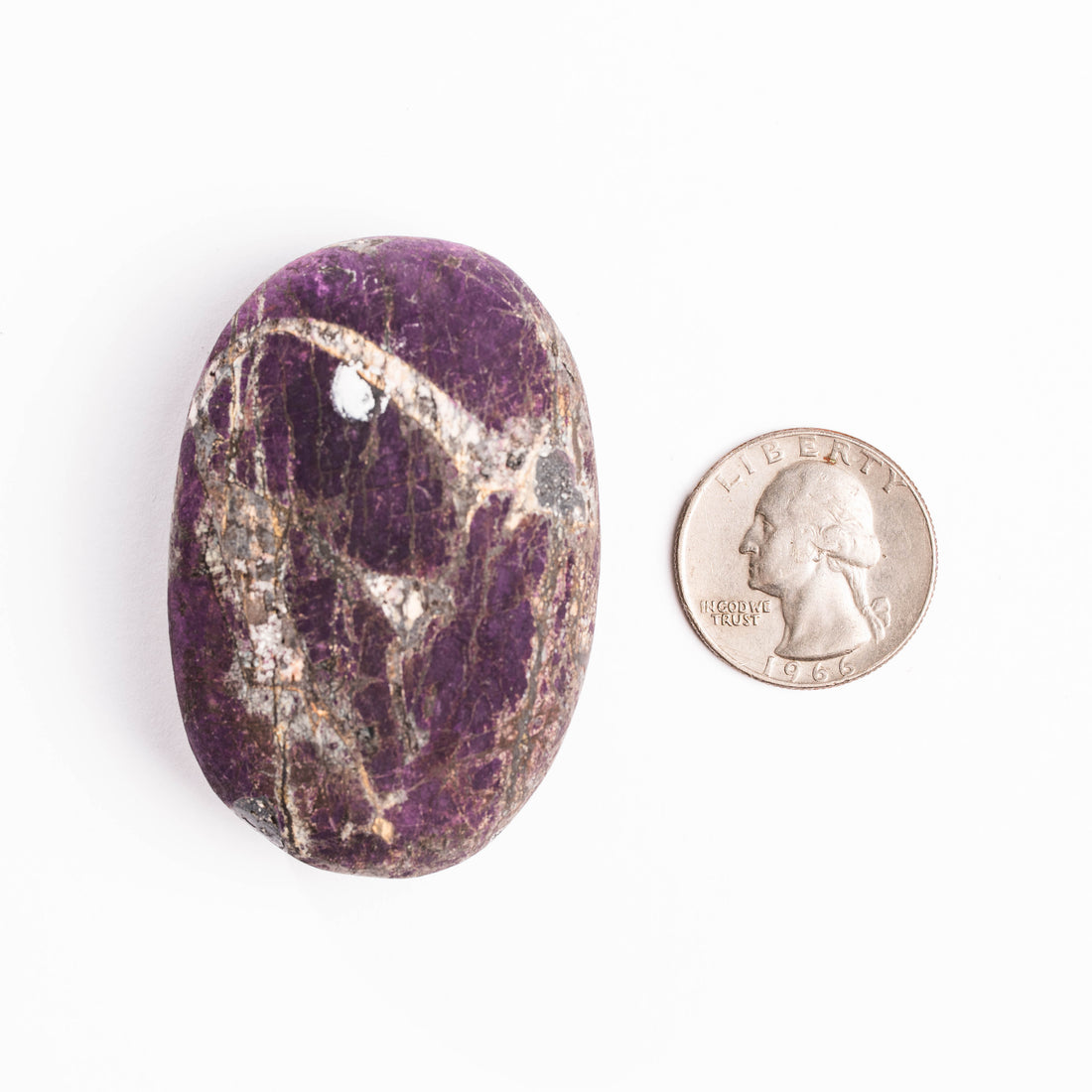 Purpurite - Palm