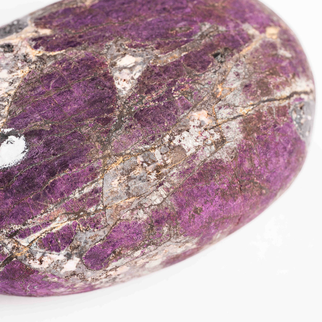 Purpurite - Palm