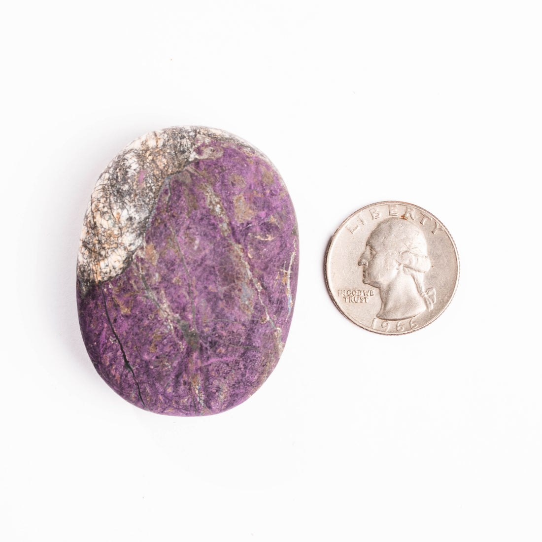 Purpurite - Palm