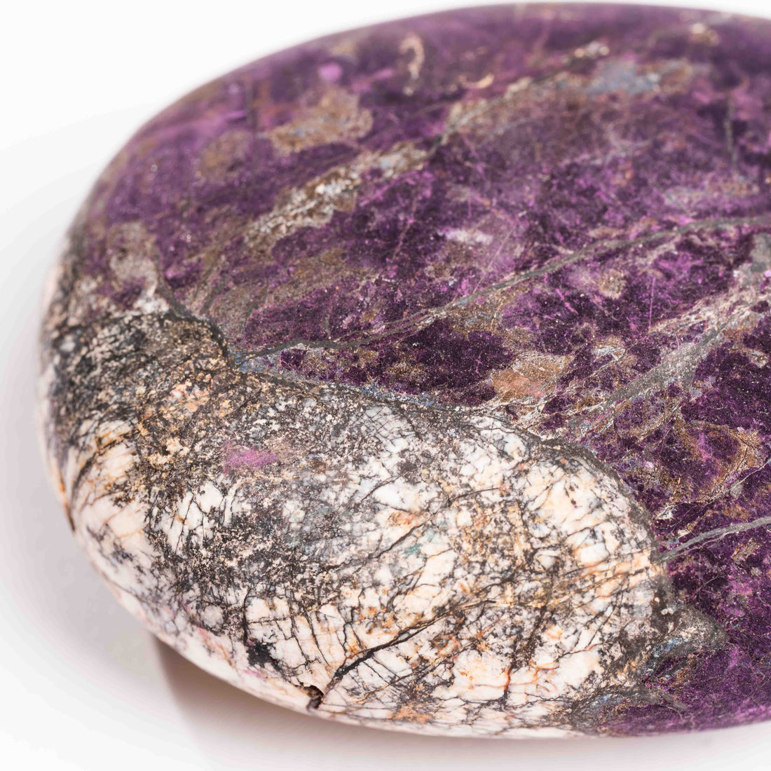 Purpurite - Palm