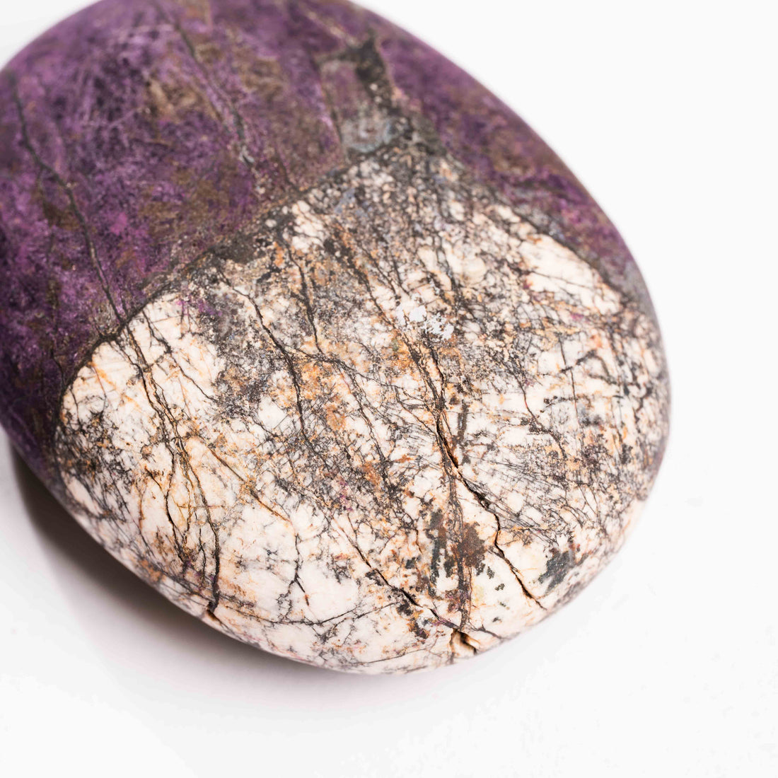 Purpurite - Palm