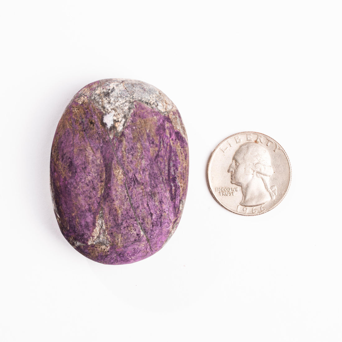 Purpurite - Palm