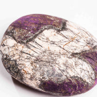 Purpurite - Palm
