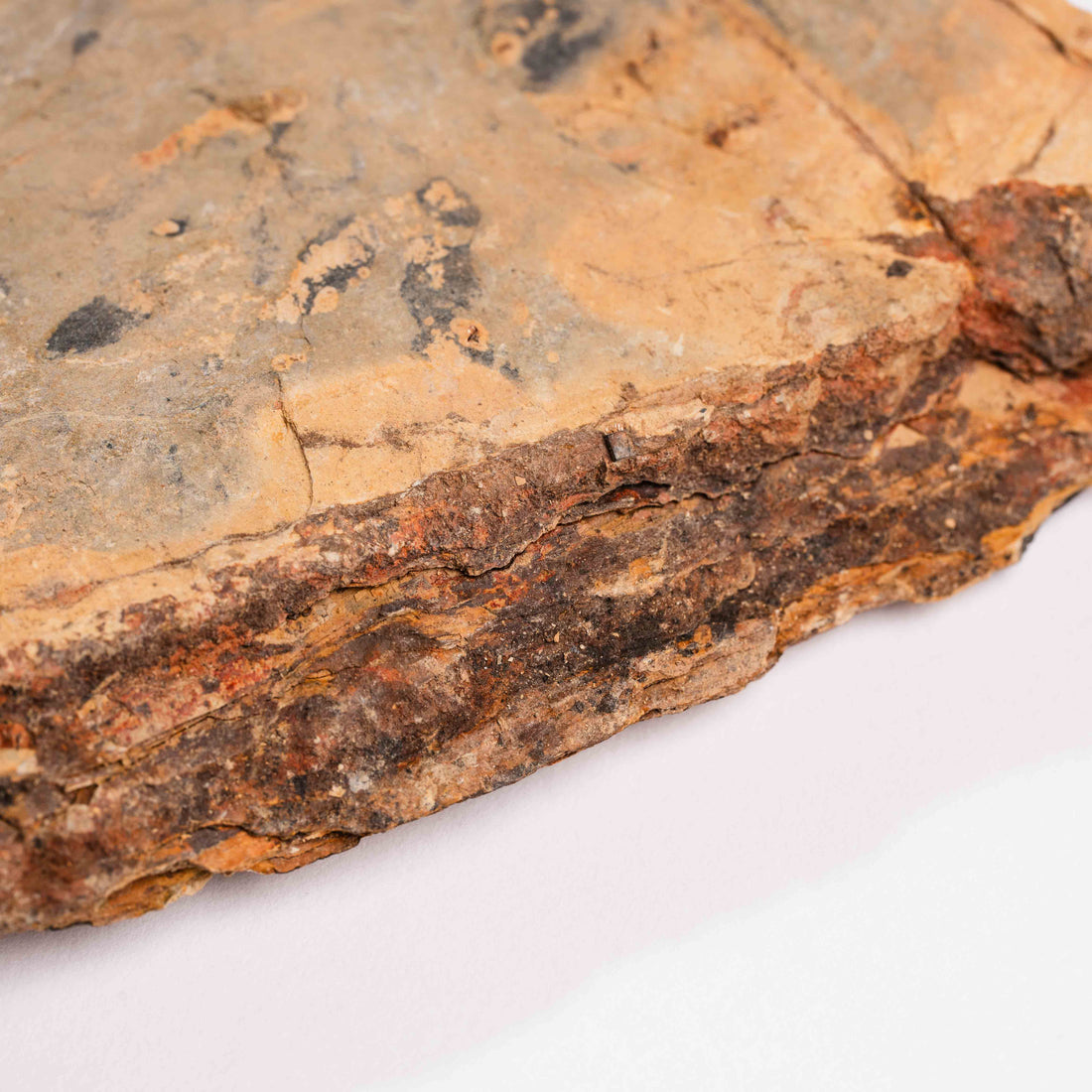 Slaty Shale Record - Earth Love Gallery Collection