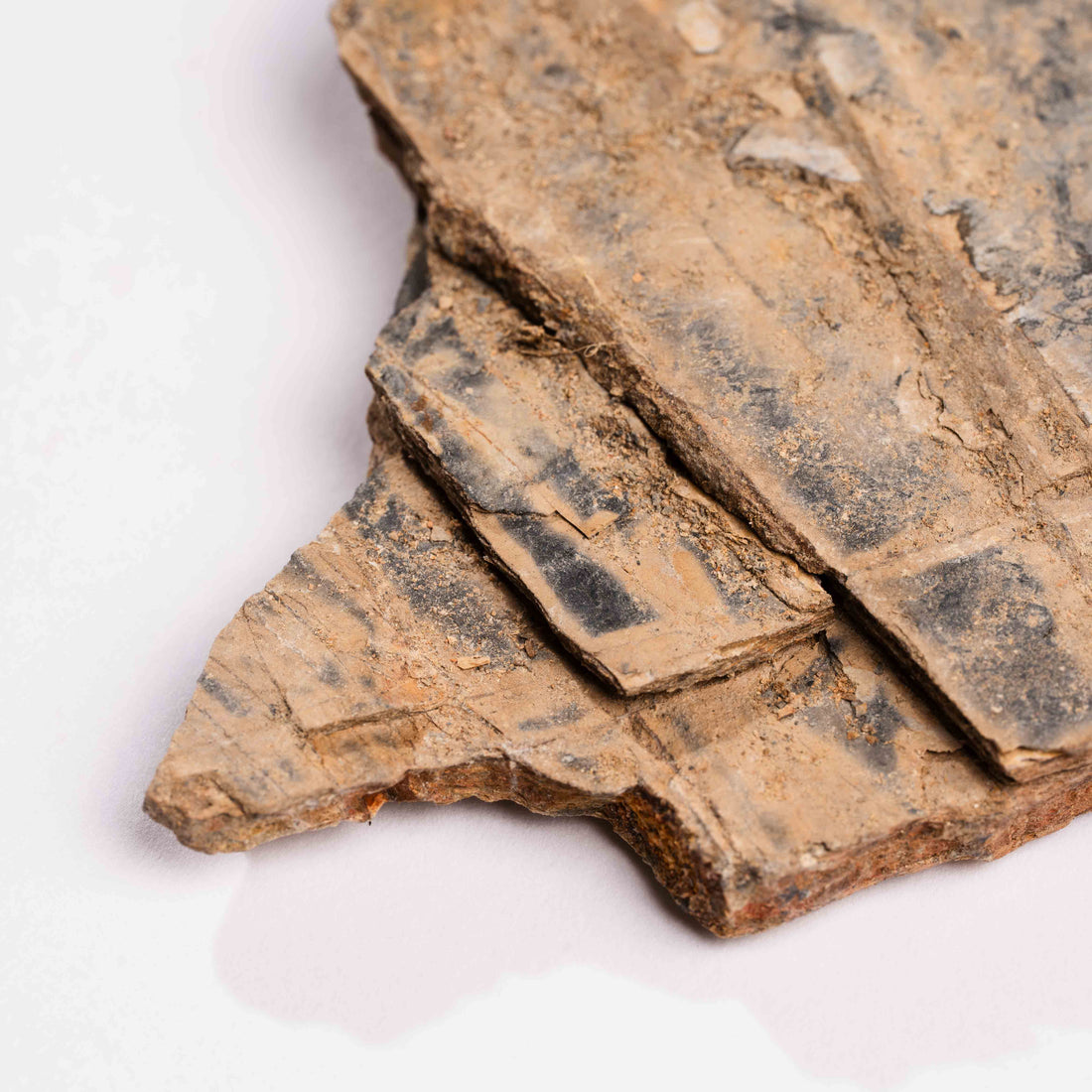 Slaty Shale Record - Earth Love Gallery Collection