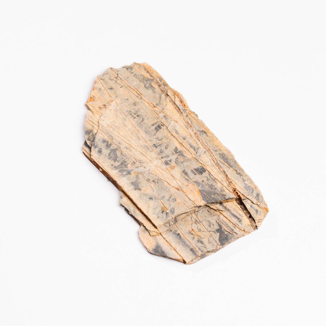 Slaty Shale Record - Earth Love Gallery Collection