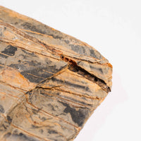 Slaty Shale Record - Earth Love Gallery Collection