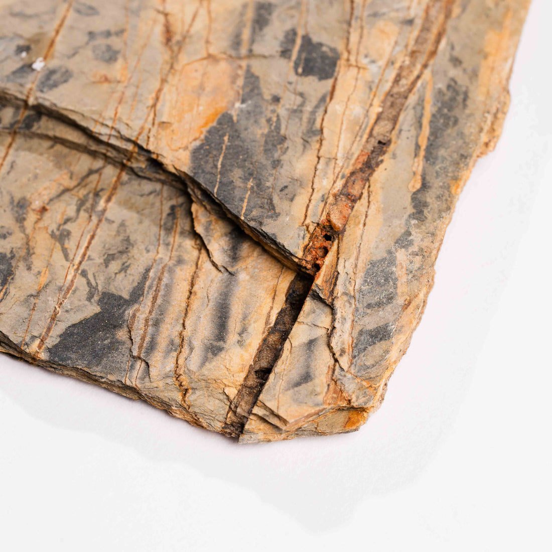 Slaty Shale Record - Earth Love Gallery Collection