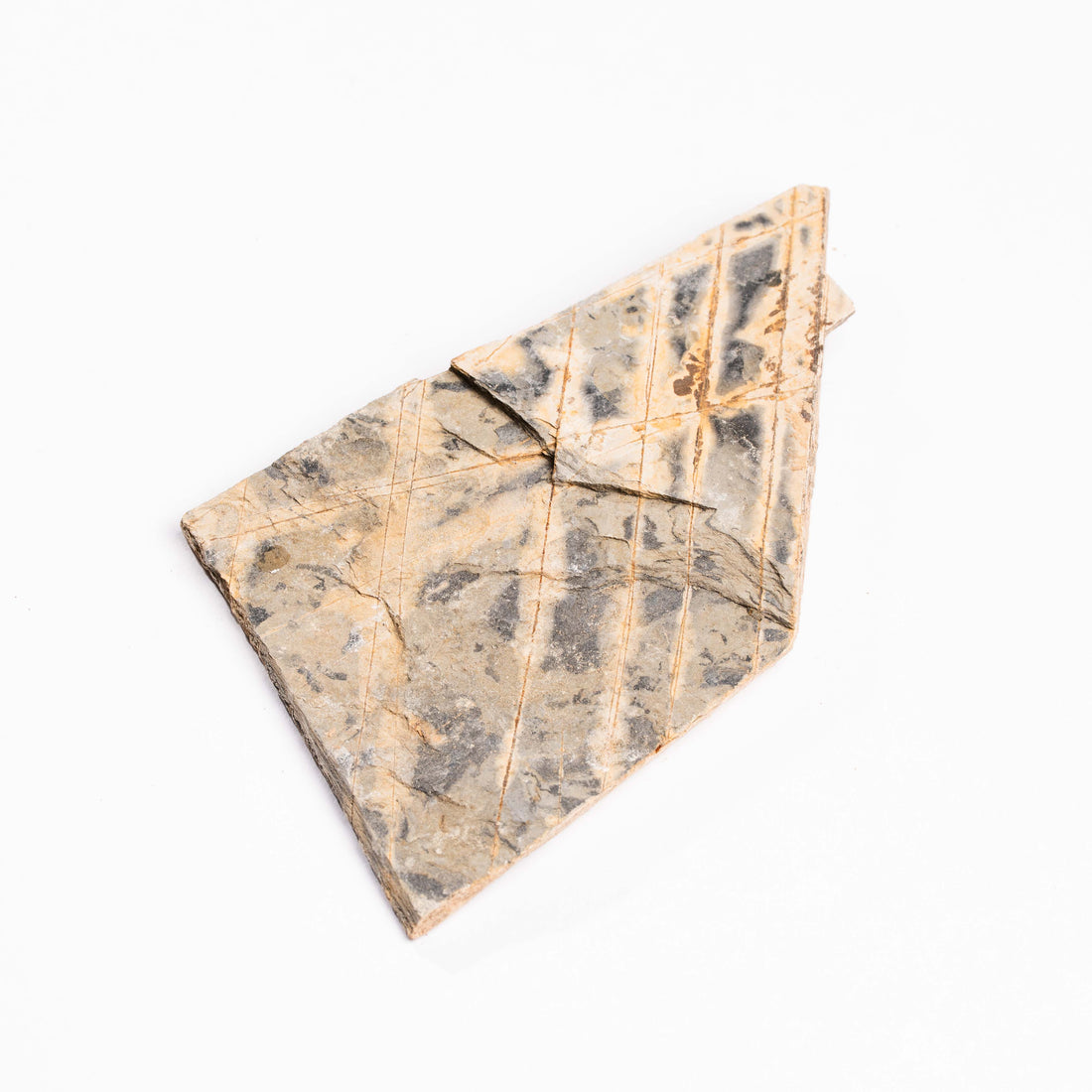 Slaty Shale Record - Earth Love Gallery Collection