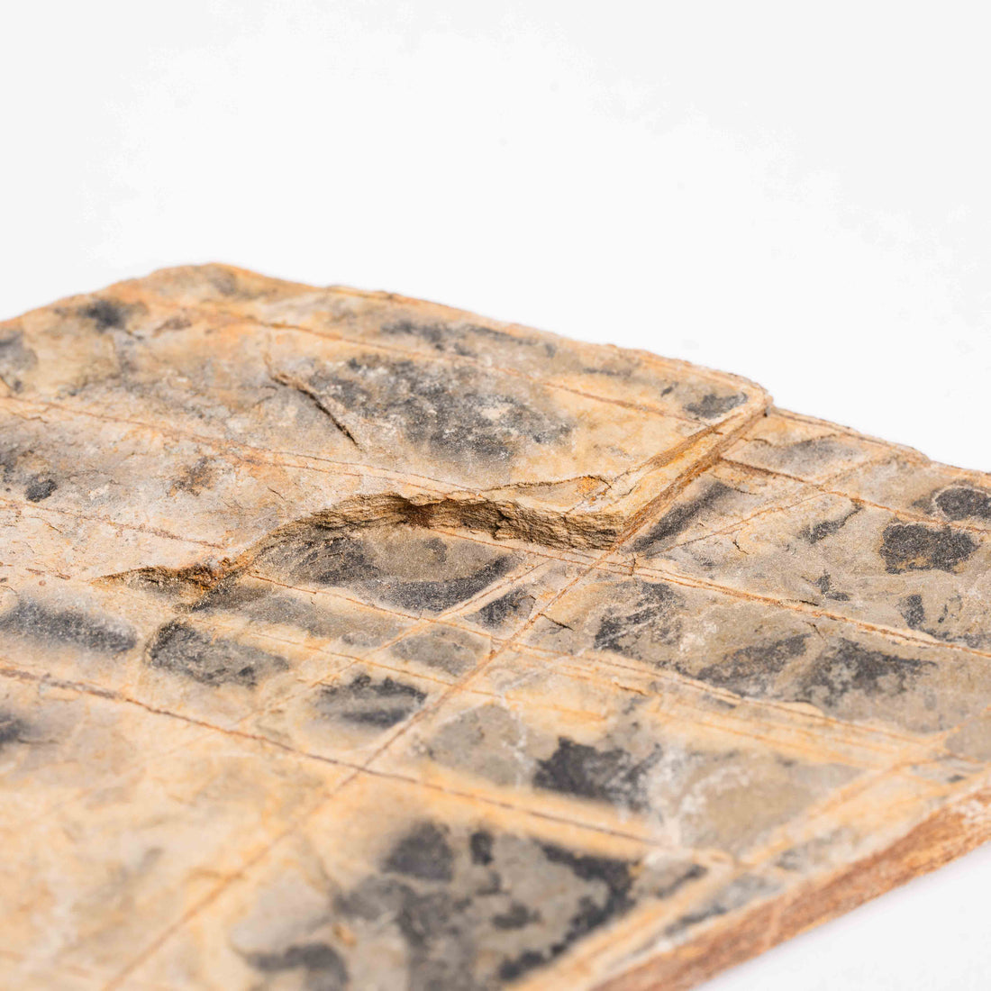 Slaty Shale Record - Earth Love Gallery Collection
