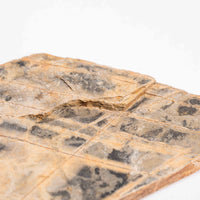 Slaty Shale Record - Earth Love Gallery Collection