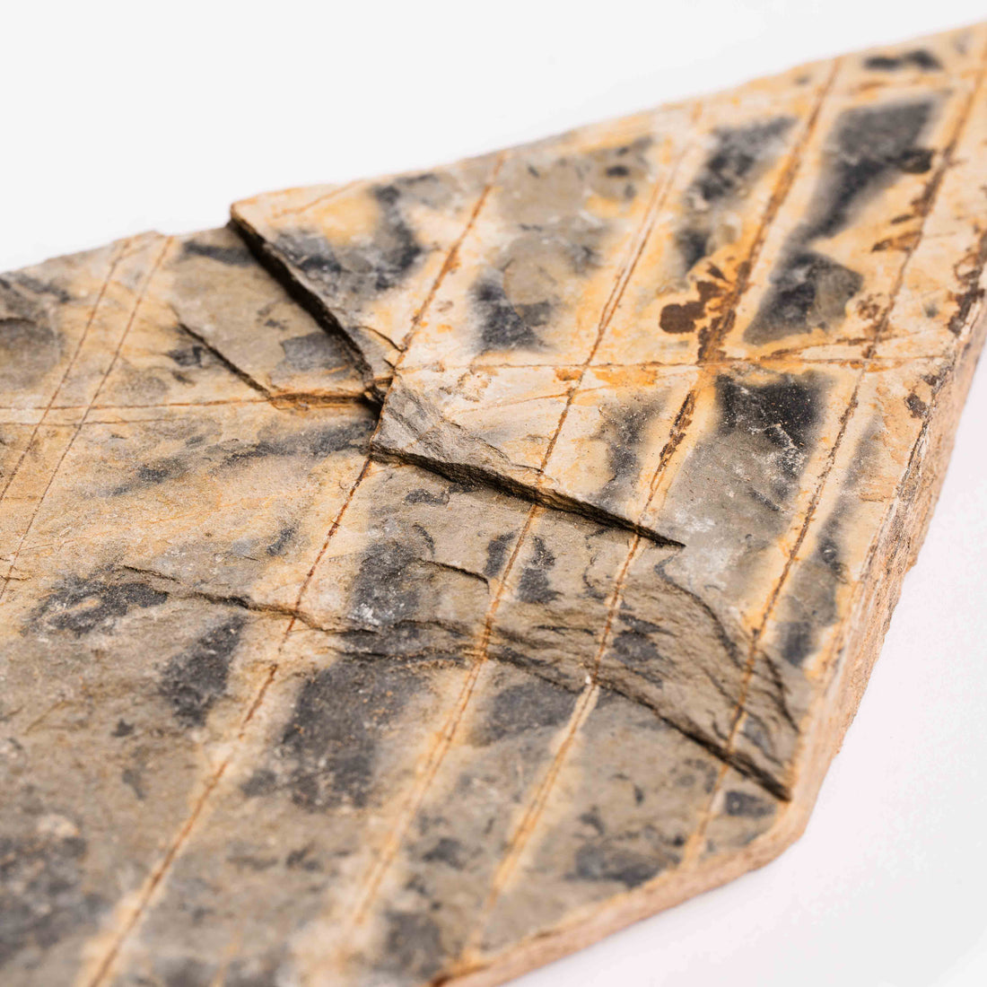 Slaty Shale Record - Earth Love Gallery Collection