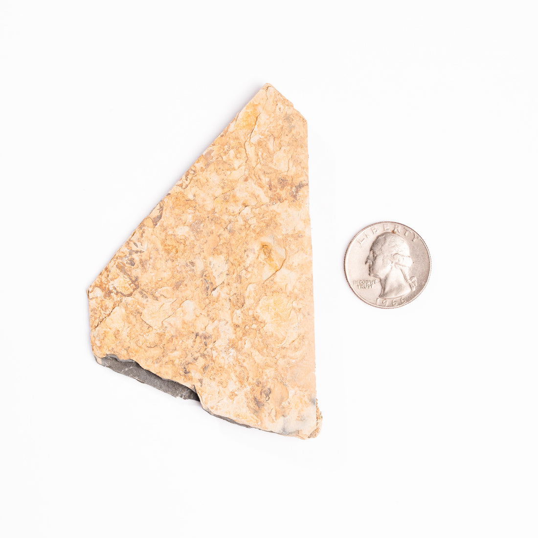Slaty Shale Record - Earth Love Gallery Collection