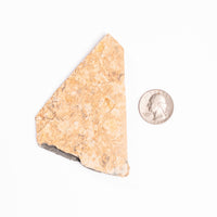 Slaty Shale Record - Earth Love Gallery Collection