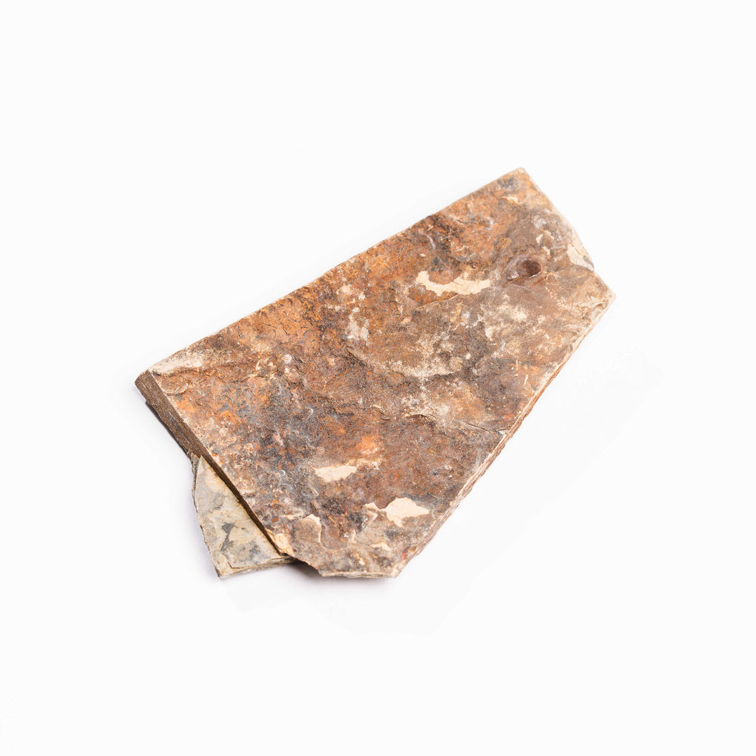 Slaty Shale Record - Earth Love Gallery Collection