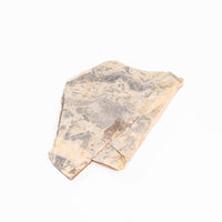 Slaty Shale Record - Earth Love Gallery Collection