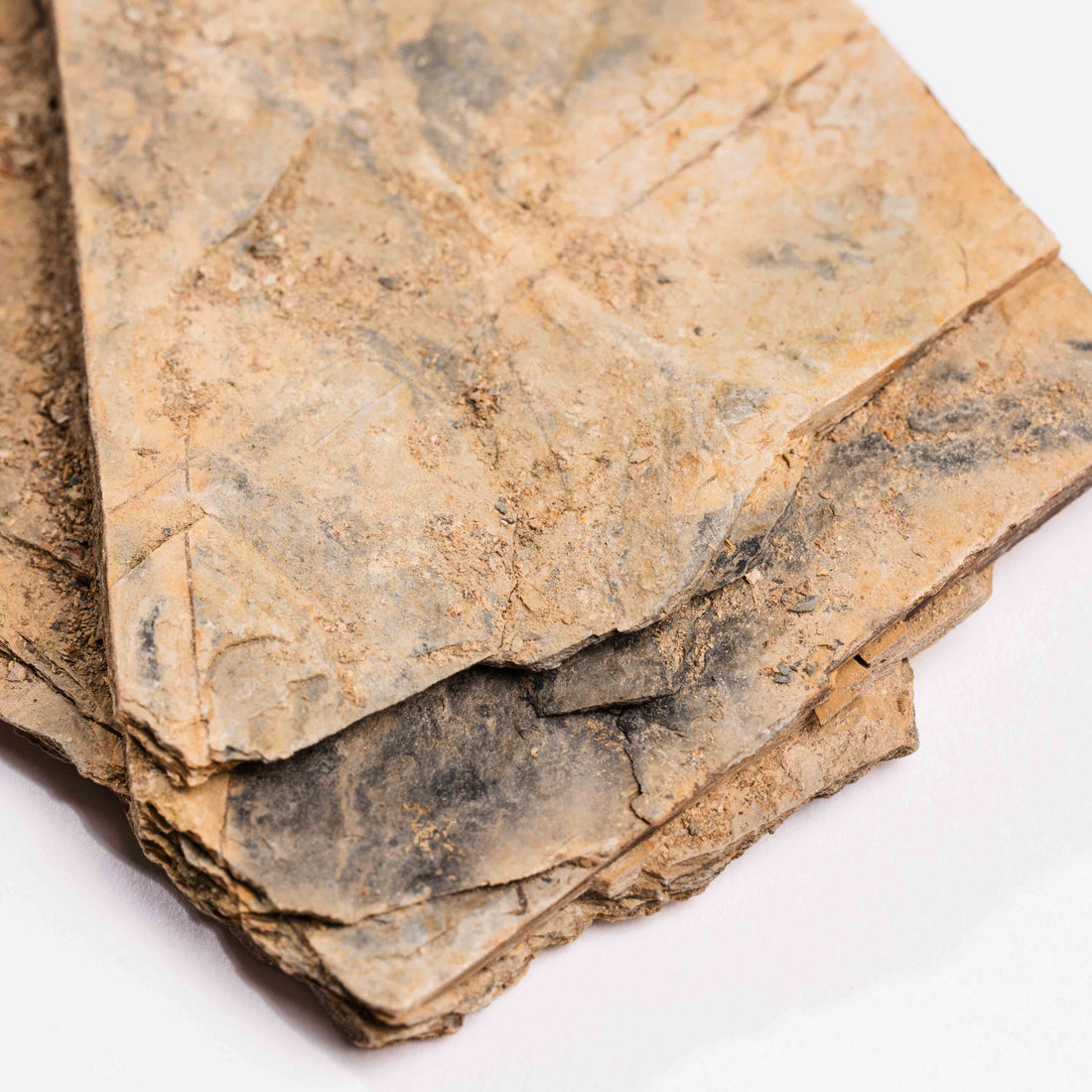 Slaty Shale Record - Earth Love Gallery Collection