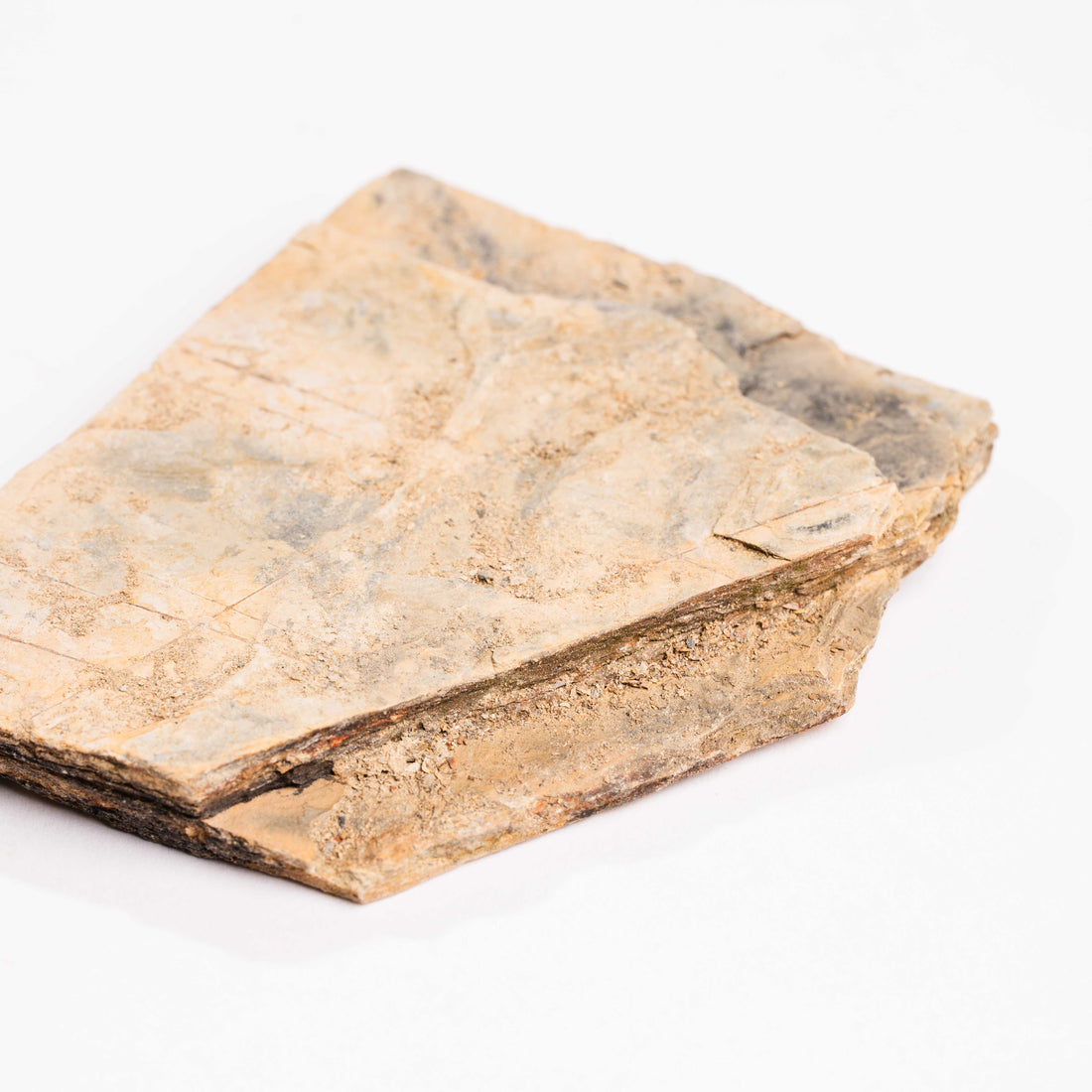 Slaty Shale Record - Earth Love Gallery Collection