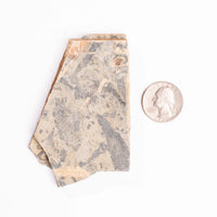 Slaty Shale Record - Earth Love Gallery Collection