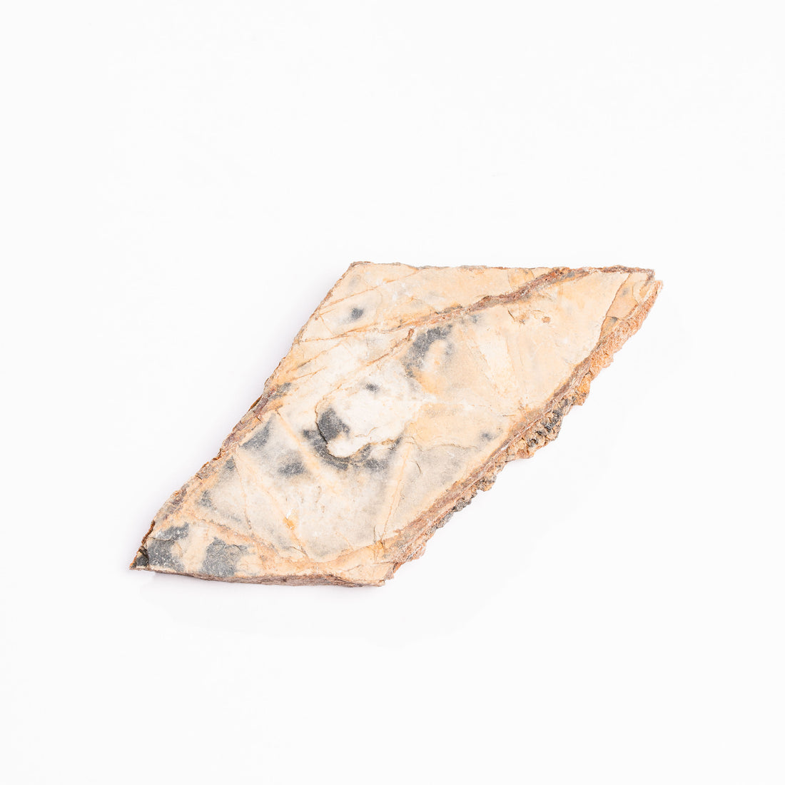 Slaty Shale Record - Earth Love Gallery Collection
