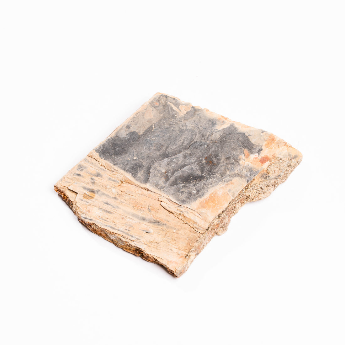 Slaty Shale Record - Earth Love Gallery Collection
