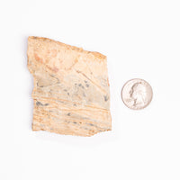 Slaty Shale Record - Earth Love Gallery Collection