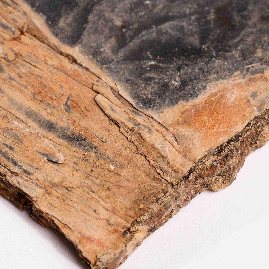 Slaty Shale Record - Earth Love Gallery Collection