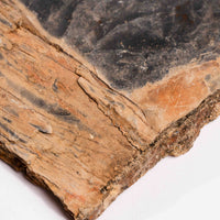 Slaty Shale Record - Earth Love Gallery Collection